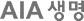 AIA ����